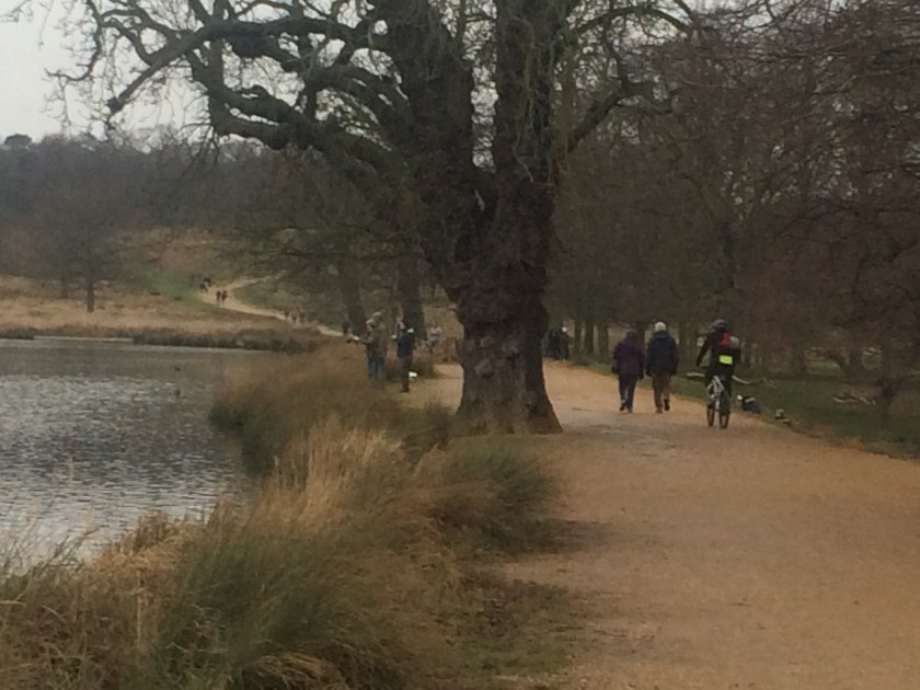 Archivo 9-2-16 22 40 00.jpeg