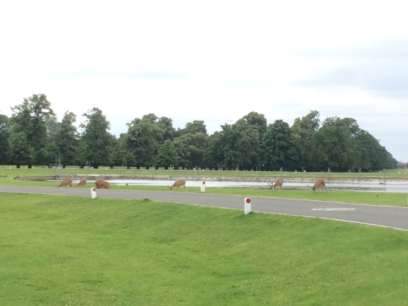 Foto 15-7-16 14 08 07