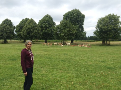 Foto 15-7-16 14 12 40