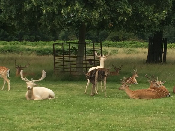 Foto 15-7-16 14 13 55