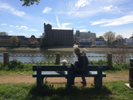 Foto 1-5-16 14 30 18.jpg