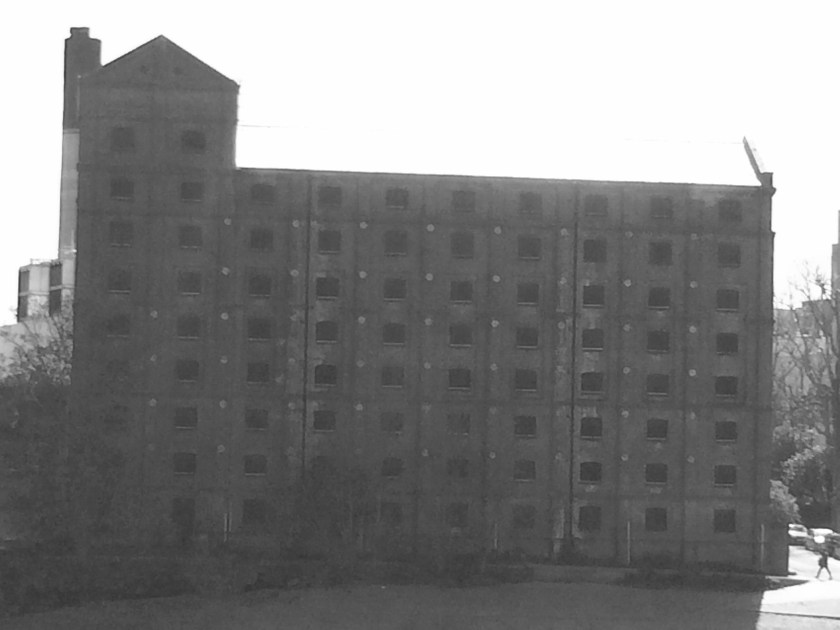 Foto 1-5-16 14 38 01