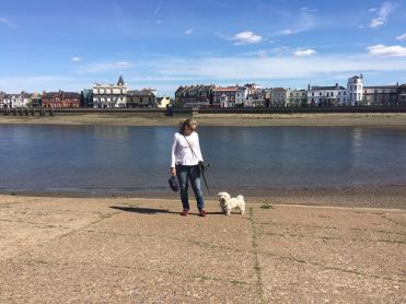 Foto 2-5-16 21 40 10.jpg